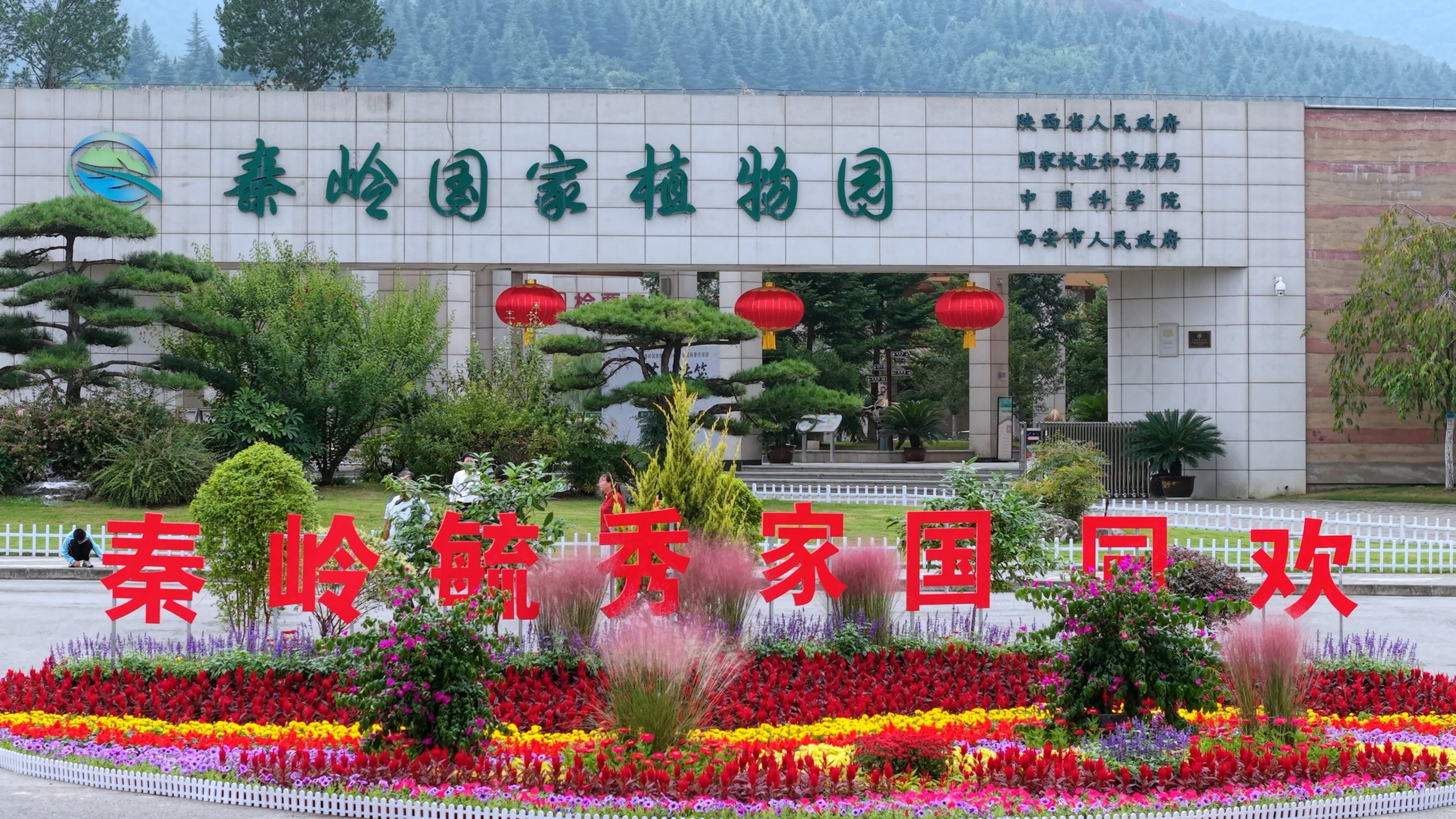 活动推荐