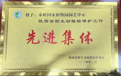 我园园艺中心及李亚利同志分别荣获陕西省野生动植物保护协会先进集体、先进个人称号