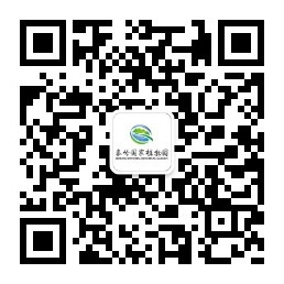 大华山旅游官网