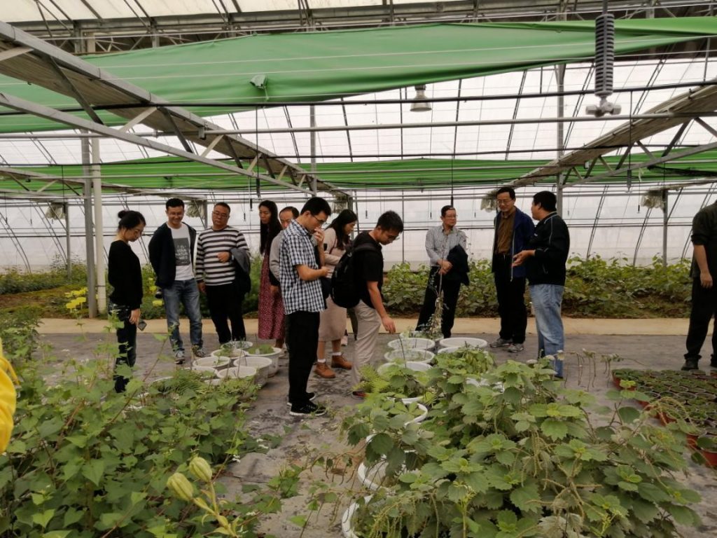 西北-陕西本土植物清查与保护项目现场检查圆满结束