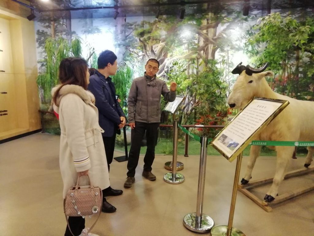 “科普教育基地发展对策研究”课题组来我园调研